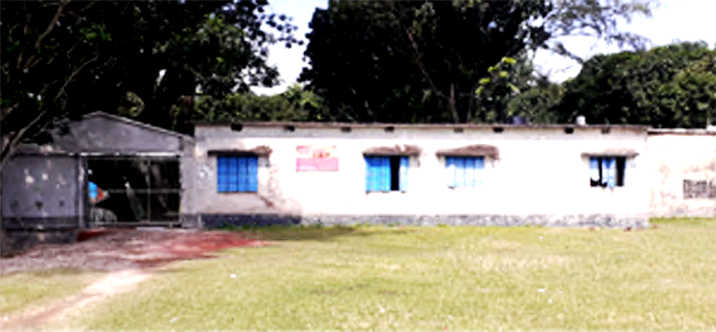 খেলার মাঠ ও একাডেমিক ভরন।